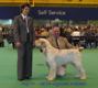 Wynsett Xcalaber and Alan