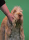 rubycruftsheadshotthumb.jpg